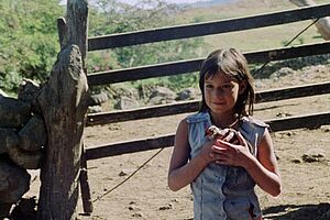 Filmstill zu "Unterwegs in Nicaragua - Eine filmische Reisebeschreibung für Kinder"